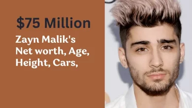 Zayn Malik net worth