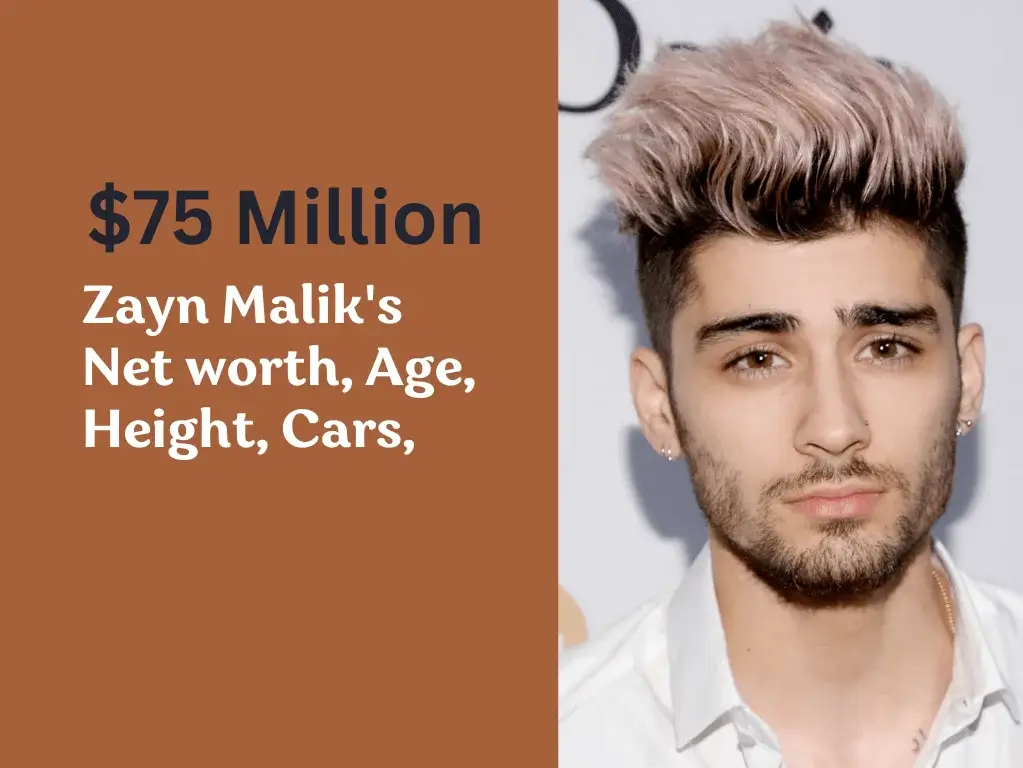 Zayn Malik net worth