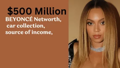 BEYONCÉ Net worth