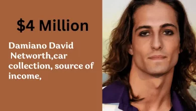 Damiano David's Net worth