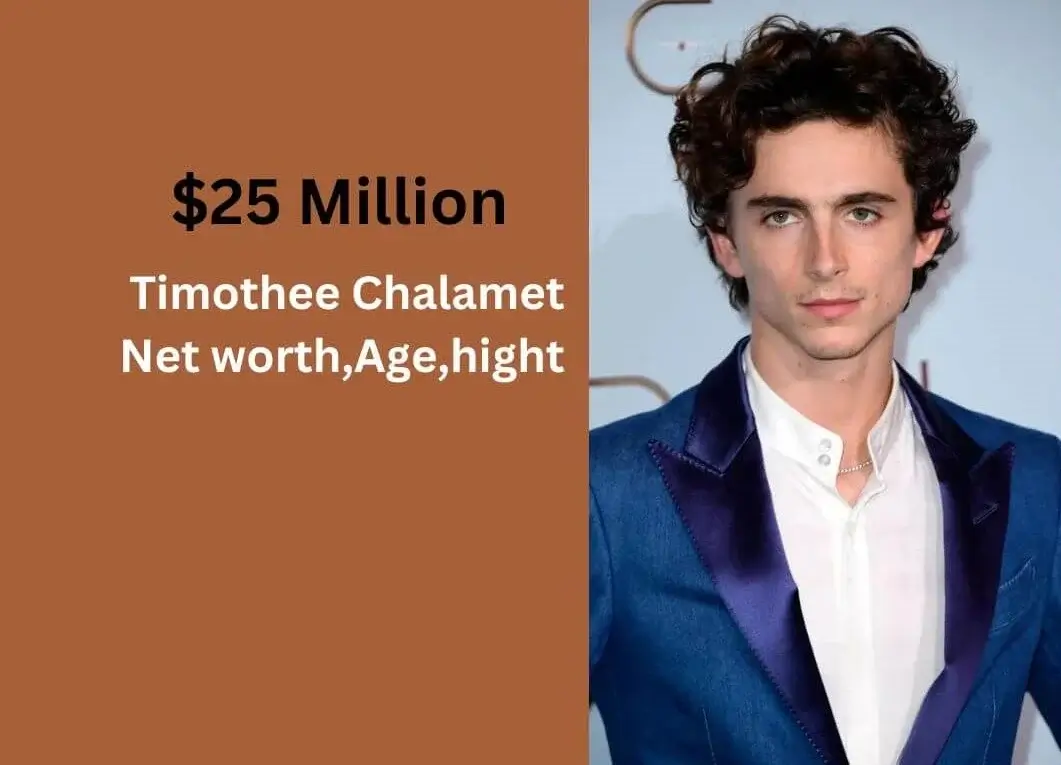 Timothee Chalamet's Net Worth