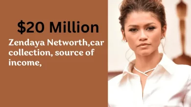 Zendaya net worth