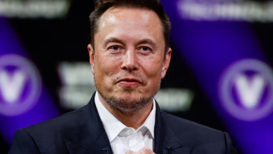 elon musk net worth